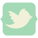 twitter 11 icon